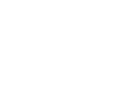 FSP4Link