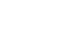 FOX Customized Setup