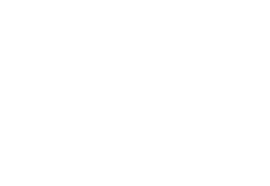 Twin Chain Stays