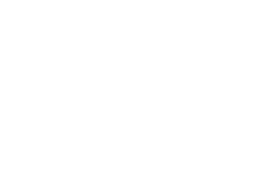 Advanced Twin Mold