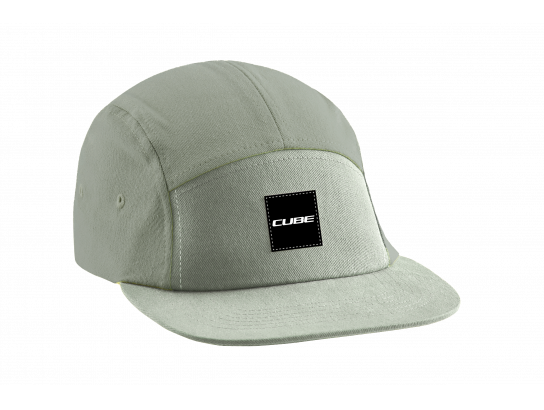 Cap 5 Panel