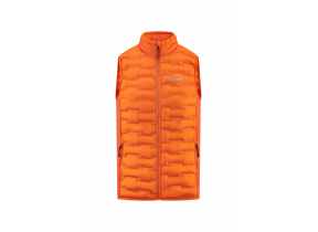 Padded Vest 2