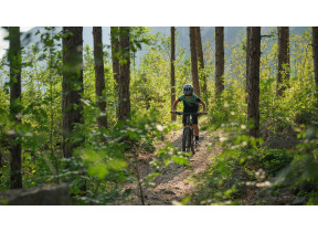 Cube Acid 260 Disc lizard´n´blue FE 2026